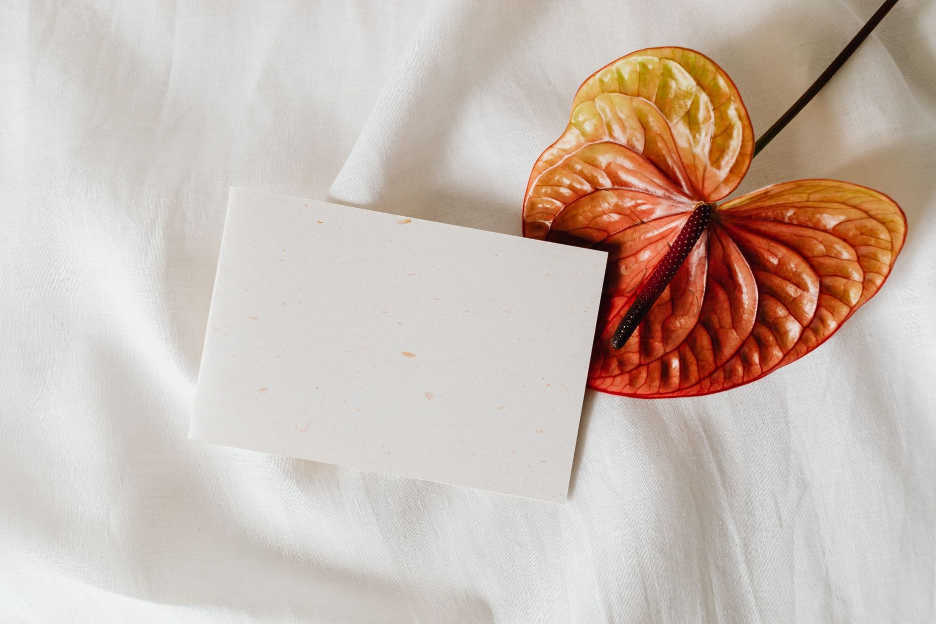 Wedding Invitation Wording: Every Format You Need (With Examples)